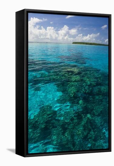 Beautiful Turquoise Water in the Ant Atoll, Pohnpei, Micronesia, Pacific-Michael Runkel-Framed Stretched Canvas