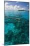 Beautiful Turquoise Water in the Ant Atoll, Pohnpei, Micronesia, Pacific-Michael Runkel-Mounted Photographic Print