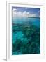 Beautiful Turquoise Water in the Ant Atoll, Pohnpei, Micronesia, Pacific-Michael Runkel-Framed Photographic Print
