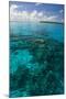 Beautiful Turquoise Water in the Ant Atoll, Pohnpei, Micronesia, Pacific-Michael Runkel-Mounted Photographic Print
