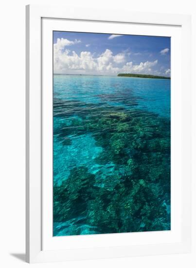 Beautiful Turquoise Water in the Ant Atoll, Pohnpei, Micronesia, Pacific-Michael Runkel-Framed Photographic Print