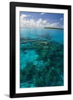 Beautiful Turquoise Water in the Ant Atoll, Pohnpei, Micronesia, Pacific-Michael Runkel-Framed Photographic Print