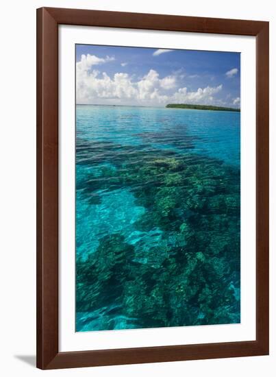 Beautiful Turquoise Water in the Ant Atoll, Pohnpei, Micronesia, Pacific-Michael Runkel-Framed Photographic Print