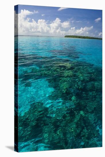 Beautiful Turquoise Water in the Ant Atoll, Pohnpei, Micronesia, Pacific-Michael Runkel-Stretched Canvas