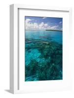 Beautiful Turquoise Water in the Ant Atoll, Pohnpei, Micronesia, Pacific-Michael Runkel-Framed Photographic Print