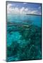 Beautiful Turquoise Water in the Ant Atoll, Pohnpei, Micronesia, Pacific-Michael Runkel-Mounted Photographic Print