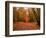 Beautiful Vibrant Autumn Fall Forest Scene in English Countryside Landscape-Veneratio-Framed Photographic Print