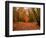 Beautiful Vibrant Autumn Fall Forest Scene in English Countryside Landscape-Veneratio-Framed Photographic Print