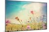 Beautiful View in Summer Flower (Forest of Flowers )-ilolab-Mounted Photographic Print