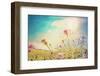 Beautiful View in Summer Flower (Forest of Flowers )-ilolab-Framed Photographic Print