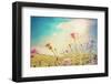 Beautiful View in Summer Flower (Forest of Flowers )-ilolab-Framed Photographic Print