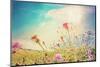 Beautiful View in Summer Flower (Forest of Flowers )-ilolab-Mounted Photographic Print