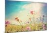 Beautiful View in Summer Flower (Forest of Flowers )-ilolab-Mounted Photographic Print