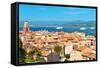 Beautiful View of Saint-Tropez. France, Provence-LiliGraphie-Framed Stretched Canvas