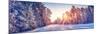 Beautiful View of the Sunrise in the Morning on the Country Snowy Road.-LeManna-Mounted Photographic Print