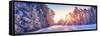 Beautiful View of the Sunrise in the Morning on the Country Snowy Road.-LeManna-Framed Stretched Canvas