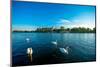 Beautiful View on Vistula River with Swans Swimming near Wawel Castle in Krakow on the Morning-RossHelen-Mounted Photographic Print