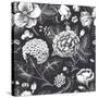 Beautiful Vintage Floral Seamless Pattern. Garden Roses, Hydrangea and Dog-Rose Flower on a Black B-Olga Korneeva-Stretched Canvas
