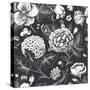 Beautiful Vintage Floral Seamless Pattern. Garden Roses, Hydrangea and Dog-Rose Flower on a Black B-Olga Korneeva-Stretched Canvas