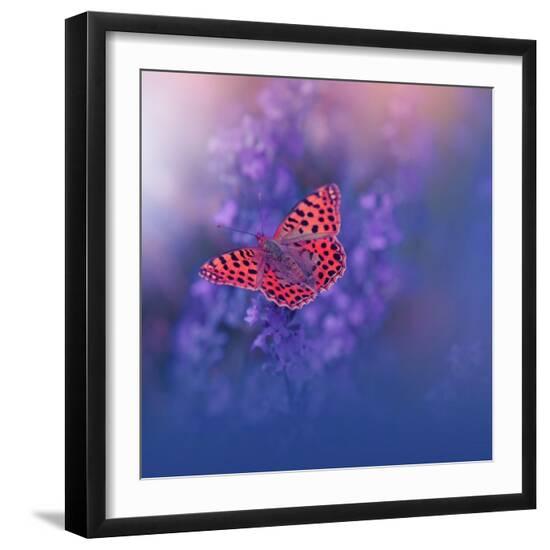 Photo, , large