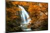 Beautiful Waterfall. Autumn-silver-john-Mounted Photographic Print