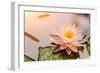 Beautiful Waterlily or Lotus Flower Blooming in the Pond-Zhao jian kang-Framed Photographic Print