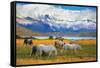 Beautiful White and Gray Horses Grazing in a Meadow near the Lake. on the Horizon, Towering Cliffs-kavram-Framed Stretched Canvas