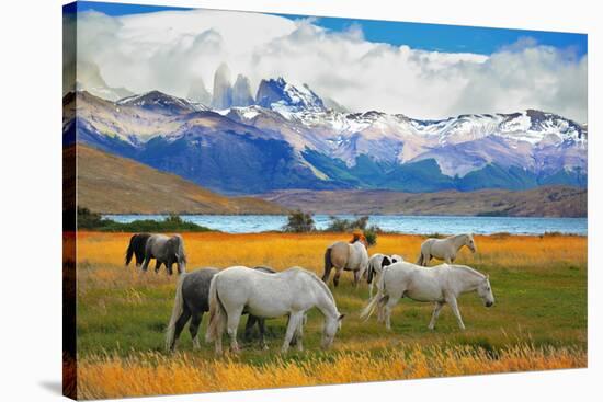 Beautiful White and Gray Horses Grazing in a Meadow near the Lake. on the Horizon, Towering Cliffs-kavram-Stretched Canvas