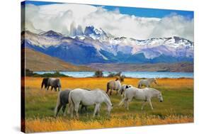 Beautiful White and Gray Horses Grazing in a Meadow near the Lake. on the Horizon, Towering Cliffs-kavram-Stretched Canvas