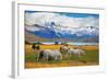 Beautiful White and Gray Horses Grazing in a Meadow near the Lake. on the Horizon, Towering Cliffs-kavram-Framed Photographic Print