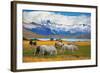 Beautiful White and Gray Horses Grazing in a Meadow near the Lake. on the Horizon, Towering Cliffs-kavram-Framed Photographic Print