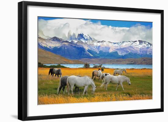 Beautiful White and Gray Horses Grazing in a Meadow near the Lake. on the Horizon, Towering Cliffs-kavram-Framed Photographic Print