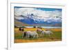 Beautiful White and Gray Horses Grazing in a Meadow near the Lake. on the Horizon, Towering Cliffs-kavram-Framed Photographic Print