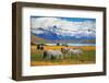 Beautiful White and Gray Horses Grazing in a Meadow near the Lake. on the Horizon, Towering Cliffs-kavram-Framed Photographic Print