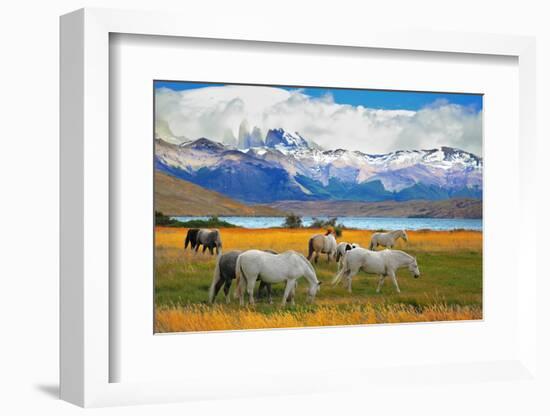 Beautiful White and Gray Horses Grazing in a Meadow near the Lake. on the Horizon, Towering Cliffs-kavram-Framed Photographic Print