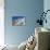Beautiful White-Blue Santorini-Maugli-l-Photographic Print displayed on a wall