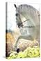 Beautiful White Horse-conrado-Stretched Canvas