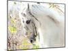 Beautiful White Horse-conrado-Mounted Photographic Print