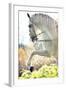 Beautiful White Horse-conrado-Framed Photographic Print