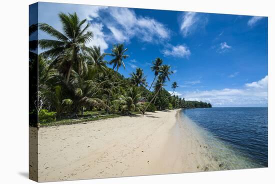 Beautiful White Sand Beach and Palm Trees on the Island of Yap, Micronesia-Michael Runkel-Stretched Canvas