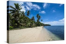 Beautiful White Sand Beach and Palm Trees on the Island of Yap, Micronesia-Michael Runkel-Stretched Canvas