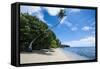 Beautiful White Sand Beach and Palm Trees on Yap Island, Micronesia-Michael Runkel-Framed Stretched Canvas