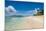 Beautiful white sand beach on Monuriki (Cast Away Island), Mamanuca Islands, Fiji, South Pacific-Michael Runkel-Mounted Photographic Print