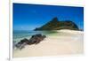 Beautiful white sand beach on Monuriki (Cast Away Island), Mamanuca Islands, Fiji, South Pacific-Michael Runkel-Framed Photographic Print