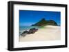 Beautiful white sand beach on Monuriki (Cast Away Island), Mamanuca Islands, Fiji, South Pacific-Michael Runkel-Framed Photographic Print