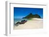 Beautiful white sand beach on Monuriki (Cast Away Island), Mamanuca Islands, Fiji, South Pacific-Michael Runkel-Framed Photographic Print