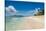 Beautiful white sand beach on Monuriki (Cast Away Island), Mamanuca Islands, Fiji, South Pacific-Michael Runkel-Stretched Canvas