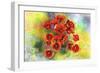 Beautiful Wild Flower 2-Ata Alishahi-Framed Giclee Print