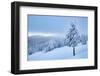 Beautiful winter landscape in Vladeasa mountains, Transylvania, Romania, Europe-Nagy Melinda-Framed Photographic Print