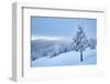 Beautiful winter landscape in Vladeasa mountains, Transylvania, Romania, Europe-Nagy Melinda-Framed Photographic Print